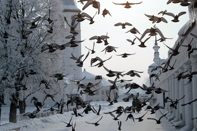 Suzdal town