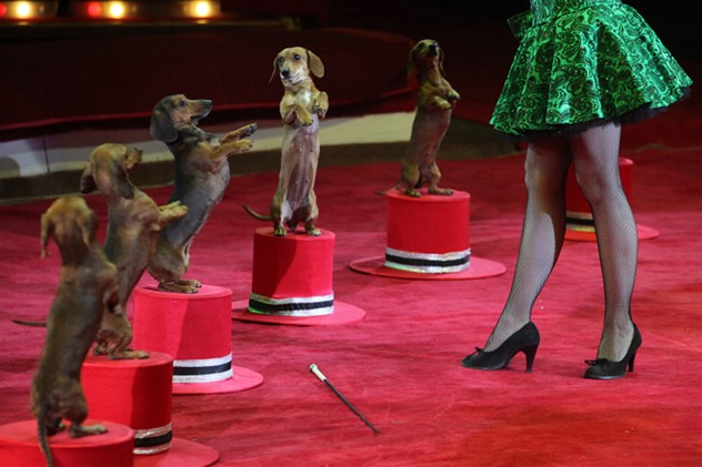 Moscow's Circus on Tsvetnoy Boulevard