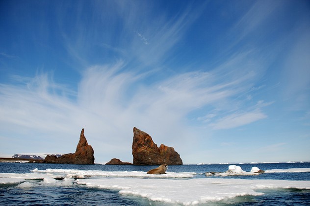The Dragon's Teeth, Tegetkhof Cape, Hall Island.